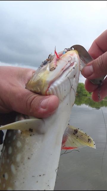 Моменты счастья😊😊😊