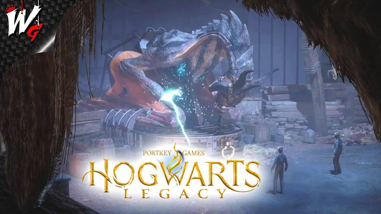 ДРАКОНЬИ БОИ ▷ Hogwarts Legacy [PC] - №12