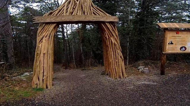 К Сосне Палласа. Крым. ЮБК. Ай-Петри. 18.01.2025.