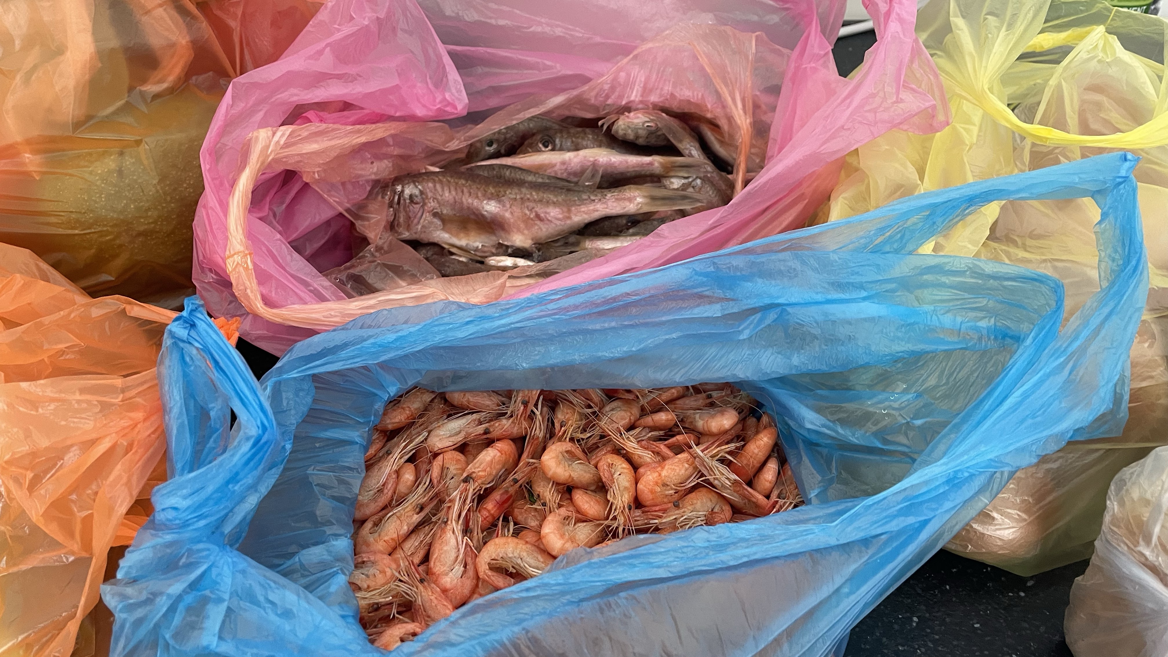 Стрим от 02.04.25 Рыбный день! Барабулька и Черноморская креветка