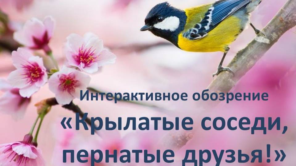 Интерактивное обозрение «Крылатые соседи, пернатые друзья!»