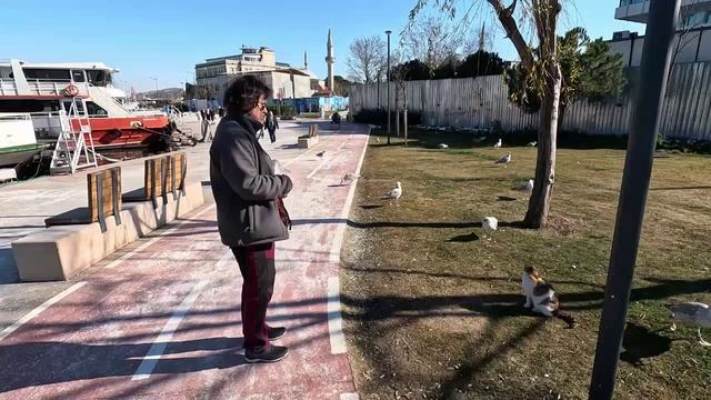 Кормим чаек в Стамбуле