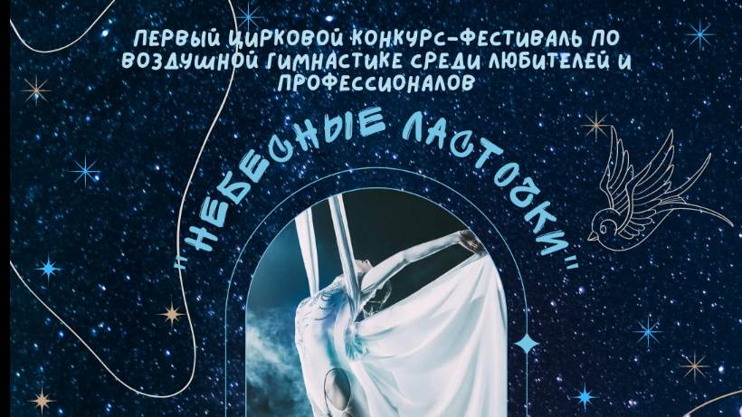 Конкурс-фестиваль по воздушной гимнастике для любителей и профессионалов (гала-концерт)
