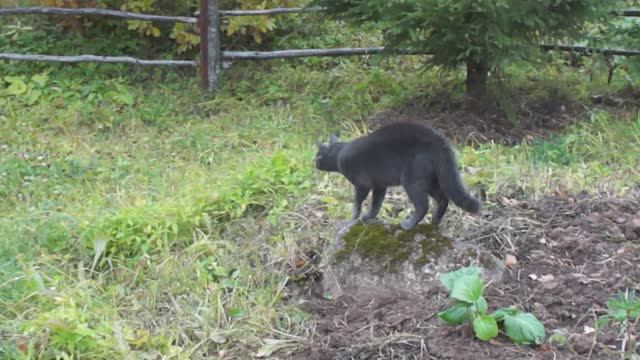 Ща разберусь...