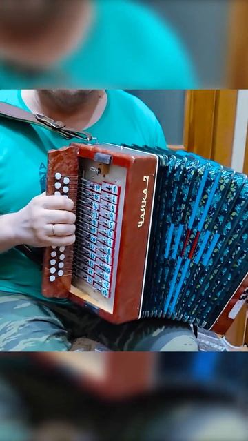 Виновата ли я Разбор по цифрам 3 аккорда и 300 песен или как быстро научиться играть на гармони урок