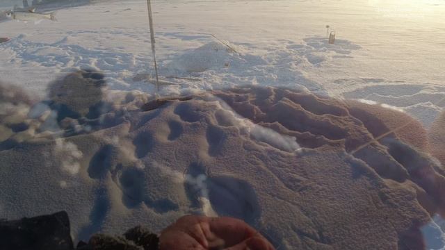 17,Проверка перемёта ловим верхогляда 21.01.22.