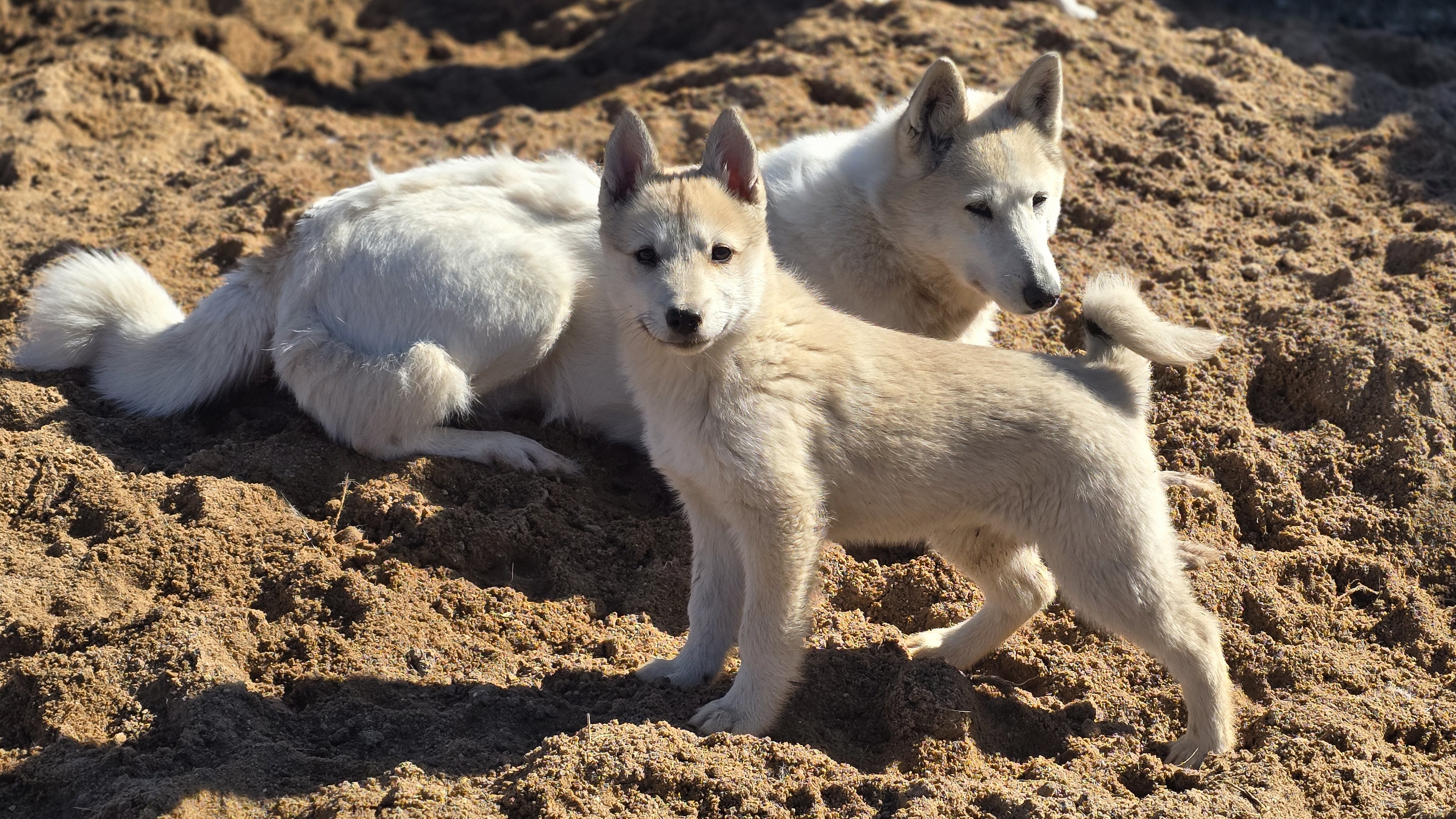 С утра на песке