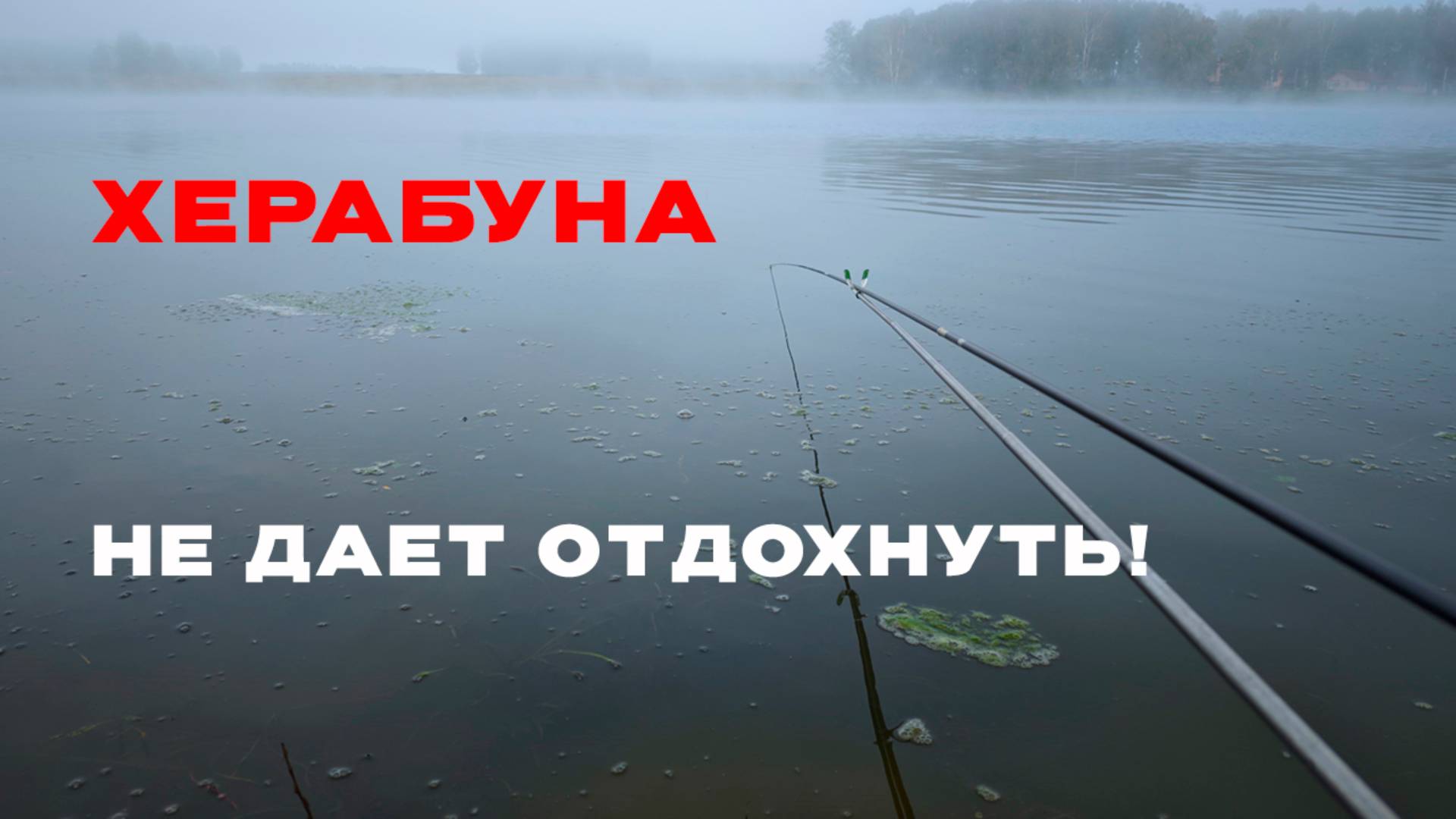 Закинул ТЕСТО в туман. Кто же КЛЮНЕТ?!