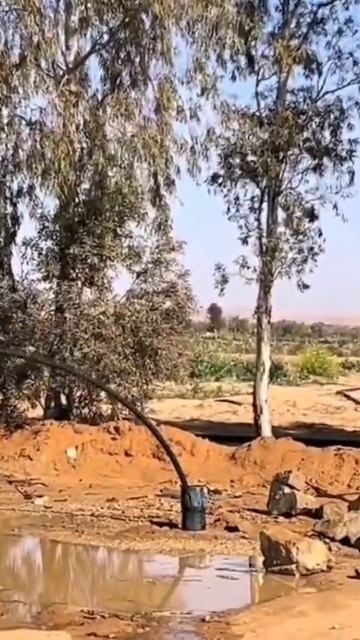 Квк вытаскивал насос, такой вот видос