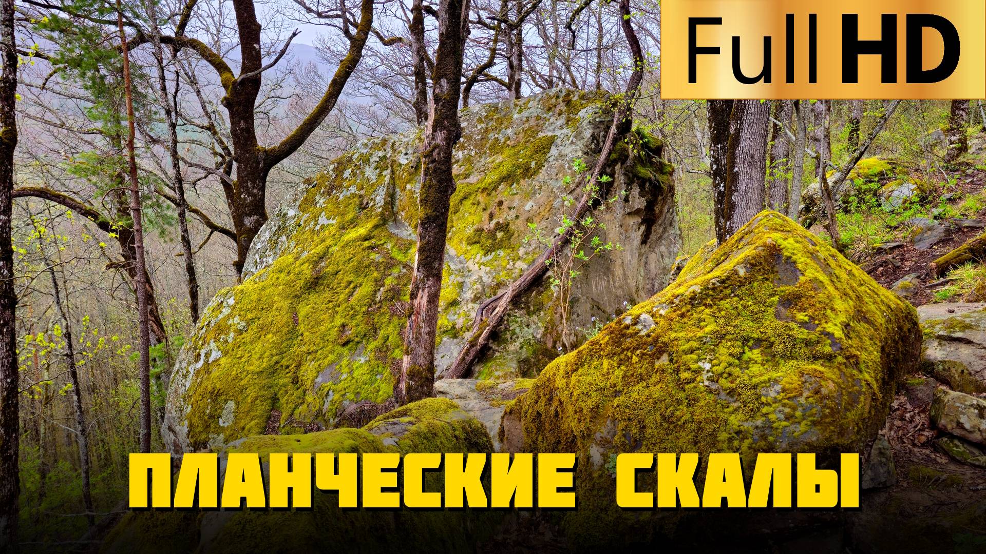 Планческие скалы Северский район Краснодарский край