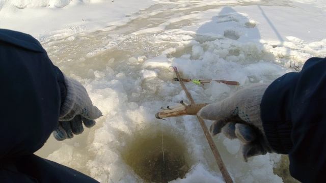 9,Проверка перемёта,  ловим верхогляда и немного на щуку.2021