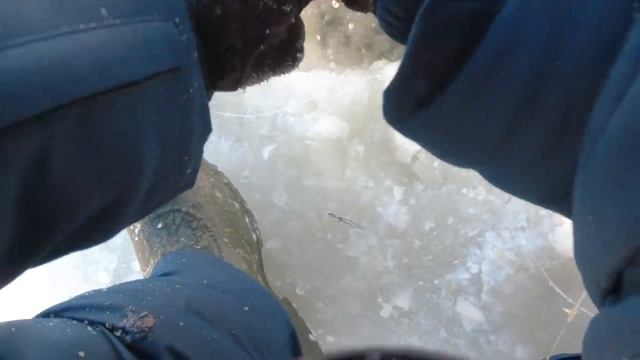 8,Проверка перемёта, подпусков, ловим верхогляда.2021