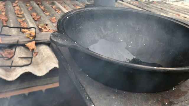 Шашлык из говяжьего сердца с картошкой на костре.