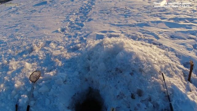 21,Проверка перемёта ловим верхогляда.Март 2.03.22.