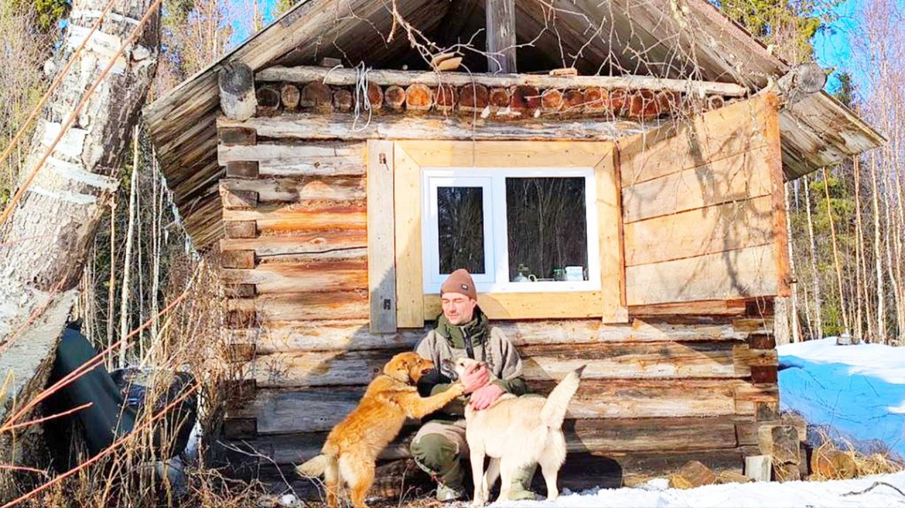 ЗАБРОСКА ФАНЕРЫ В ИЗБУ НА СНЕГОХОДЕ СМ-002 / ВЗЯЛ С СОБОЙ СОБАК ПРОГУЛЯТЬСЯ / БЫТ В ТАЙГЕ ВЕСНОЙ.