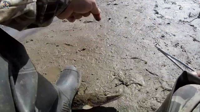 Водичка в Амуре падает, рыбалка перед сигом .2021г.