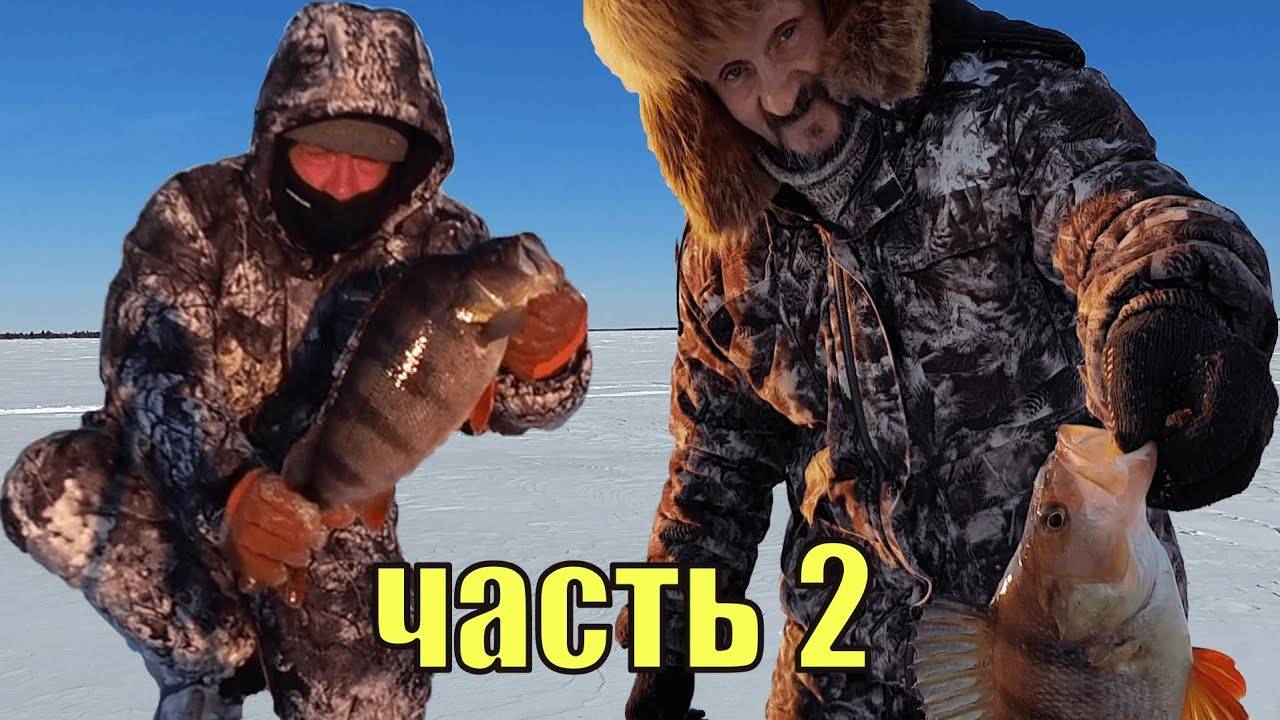 ЗА ТРОФЕЙНЫМ окунем в тайгу ХМАО-Югры - 3. Часть 2.