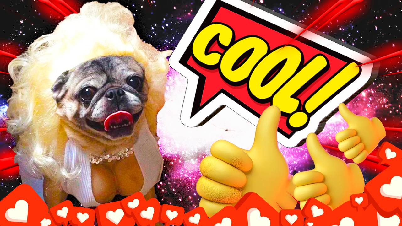 ЛУЧШИЕ ПРИКОЛЫ ЗА АПРЕЛЬ 2025 I ПОПРОБУЙ НЕ ЗАСМЕЯТЬСЯ I ТЕСТ НА ПСИХИКУ I РЖАКА