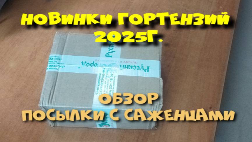 ПОСЫЛКА С МЕТЕЛЬЧАТЫМИ ГОРТЕНЗИЯМИ. РАСПАКОВКА.