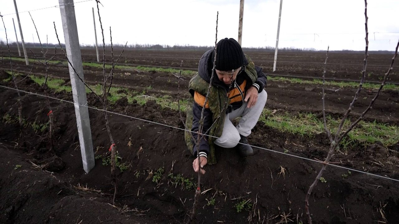 Мир сельского хозяйства. №71 Сады 01.04.2025