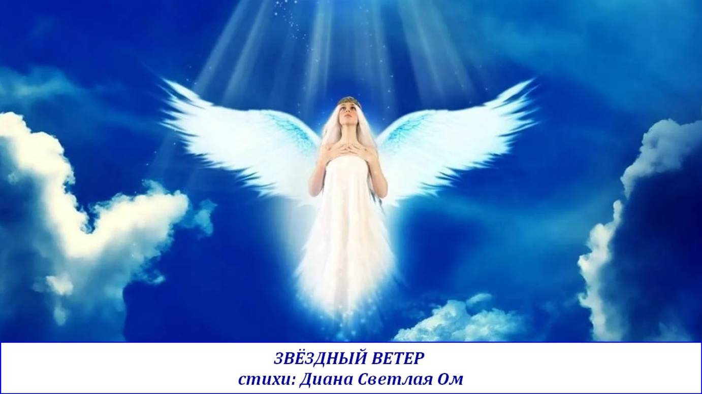 ЗВЁЗДНЫЙ ВЕТЕР