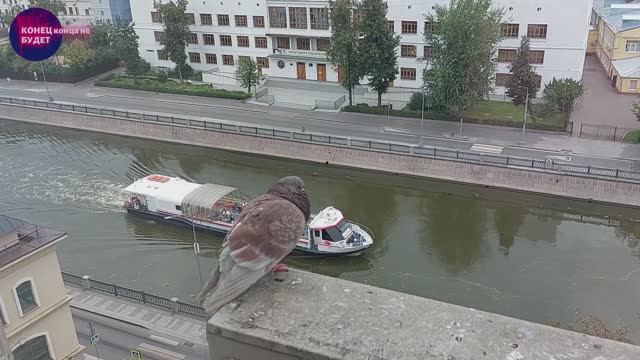 Завтрак у окна. ЖИЗНЬ В МОСКВЕ.