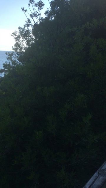 Ллорет де Мар. Испания