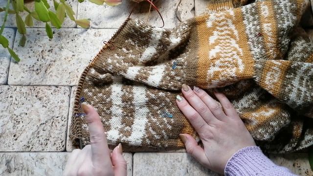 ВязоVLOG №2  /30.01-04.02.2024/