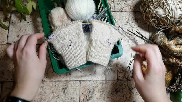 ВязоVLOG №1 /22.01-27.01.2024/