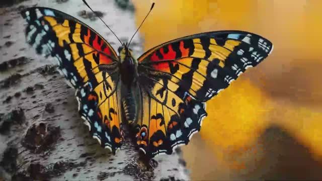 КАЖДЫЙ ВТОРОЙ НЕ СМОЖЕТ ПРАВИЛЬНО ОТВЕТИТЬ на 20 из 25 ВОПРОСОВ #тесты