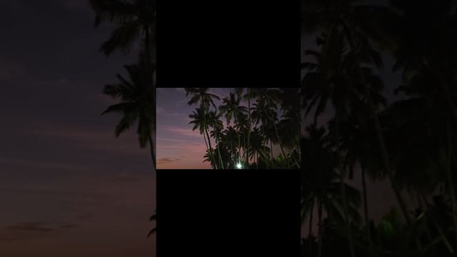 Божественный закат на Шри-Ланке