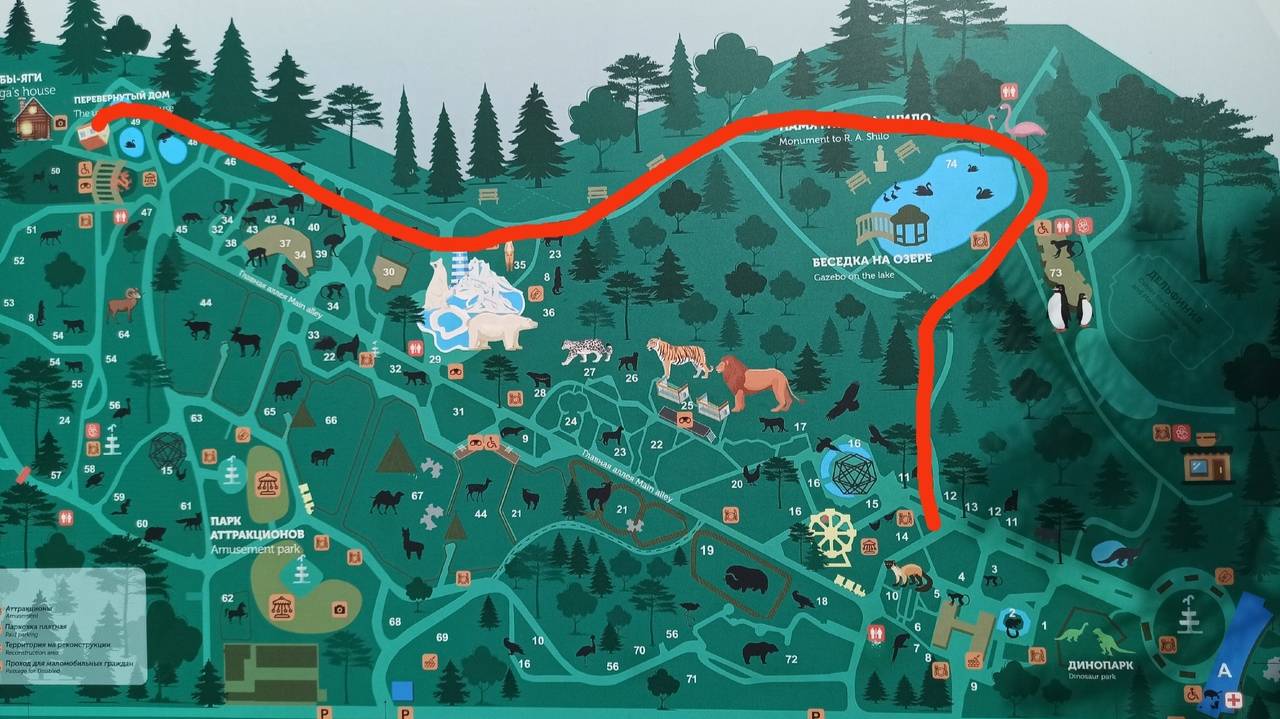 Зоопарк. По неведомым дорожкам. Апрель 2025