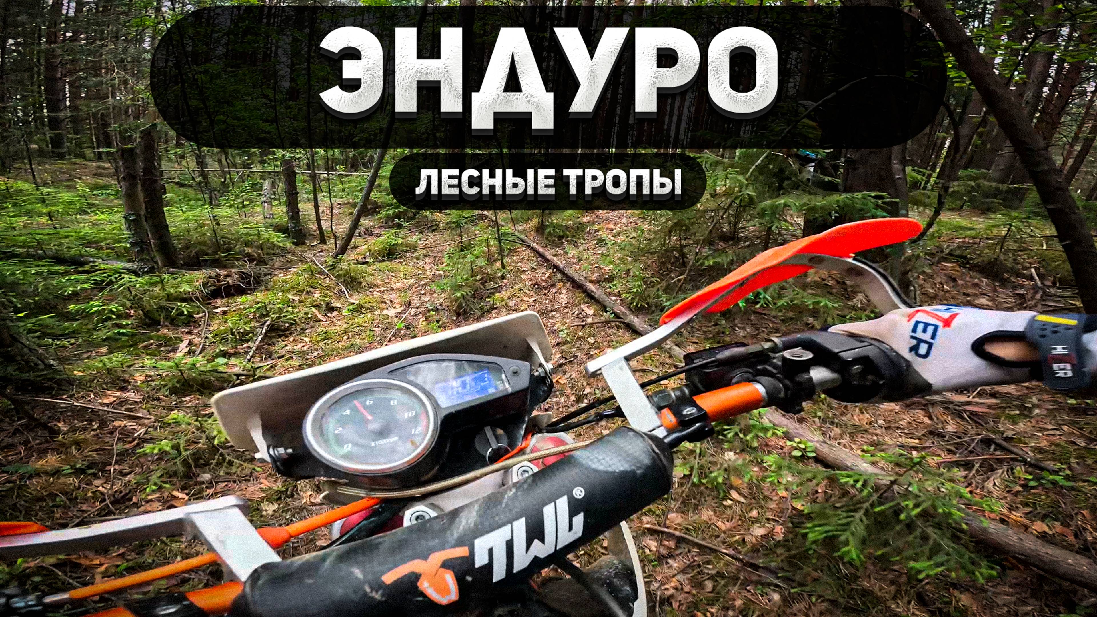 Эндуро в лесу: Покатушки на полную!