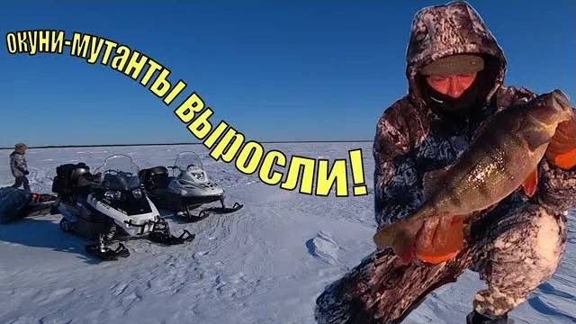 За трофейным окунем в тайгу ХМАО-3 часть1