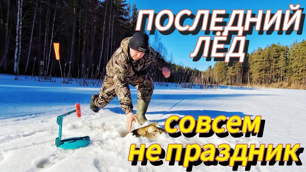 ПОСЛЕДНИЙ ЛЁД. Совсем не праздник. ЖЕРЛИЦЫ НА РЕКЕ.