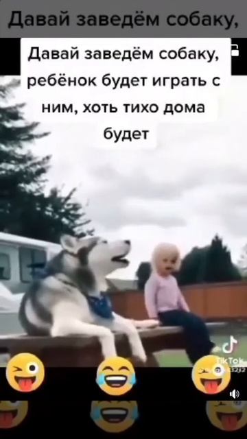 Давай заведём собаку?