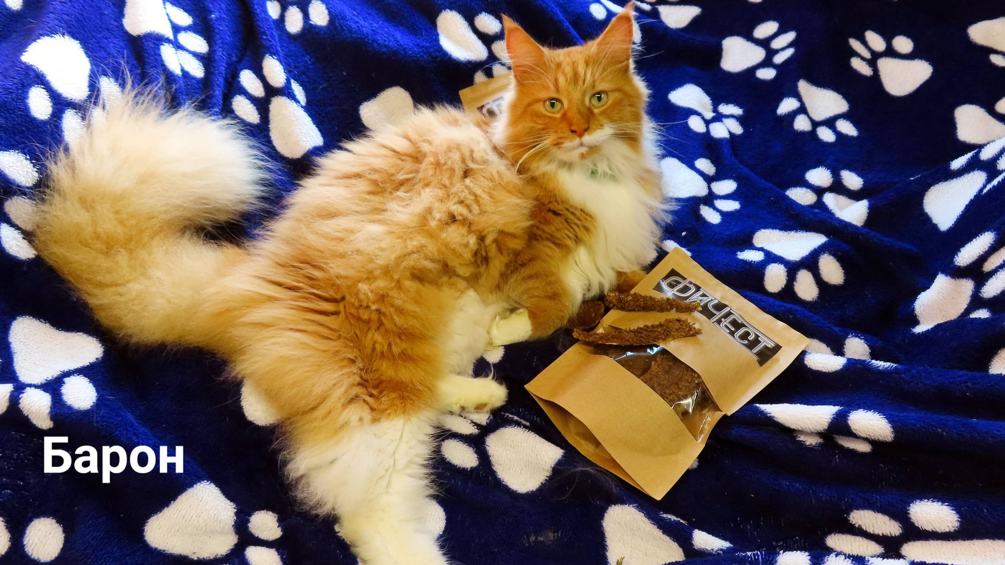 Какие #ЛАКОМСТВА #вкусняшки Я даю моему #котику Барону #мейнкун #ФИЧЕСТ