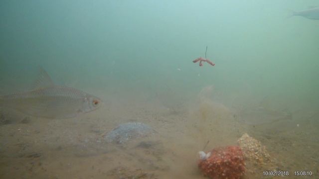 По ту сторону воды 6