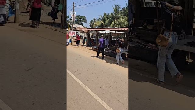 Рыбный рынок на Шри-Ланке