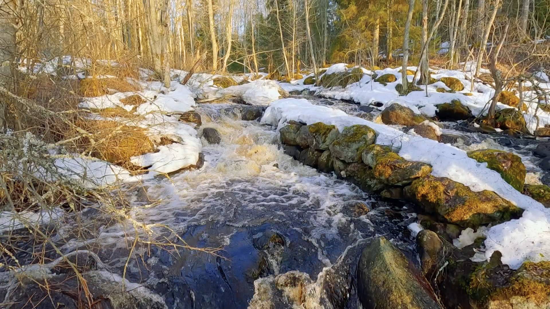 «Дикие выходные с Павлом Глазковым». 5 апреля