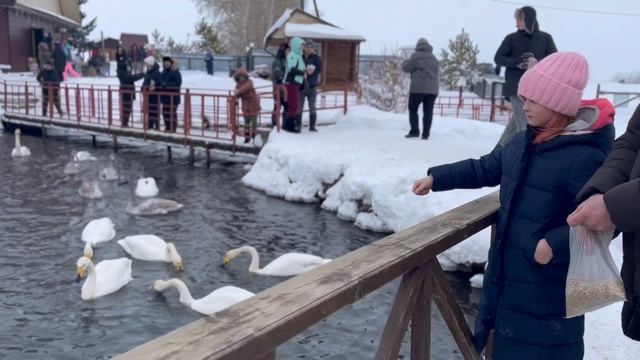 Лебединое озеро, Горный Алтай