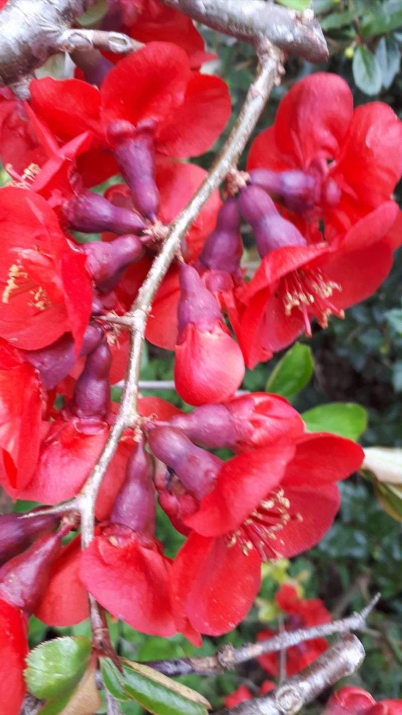 Ароматная кофейня!