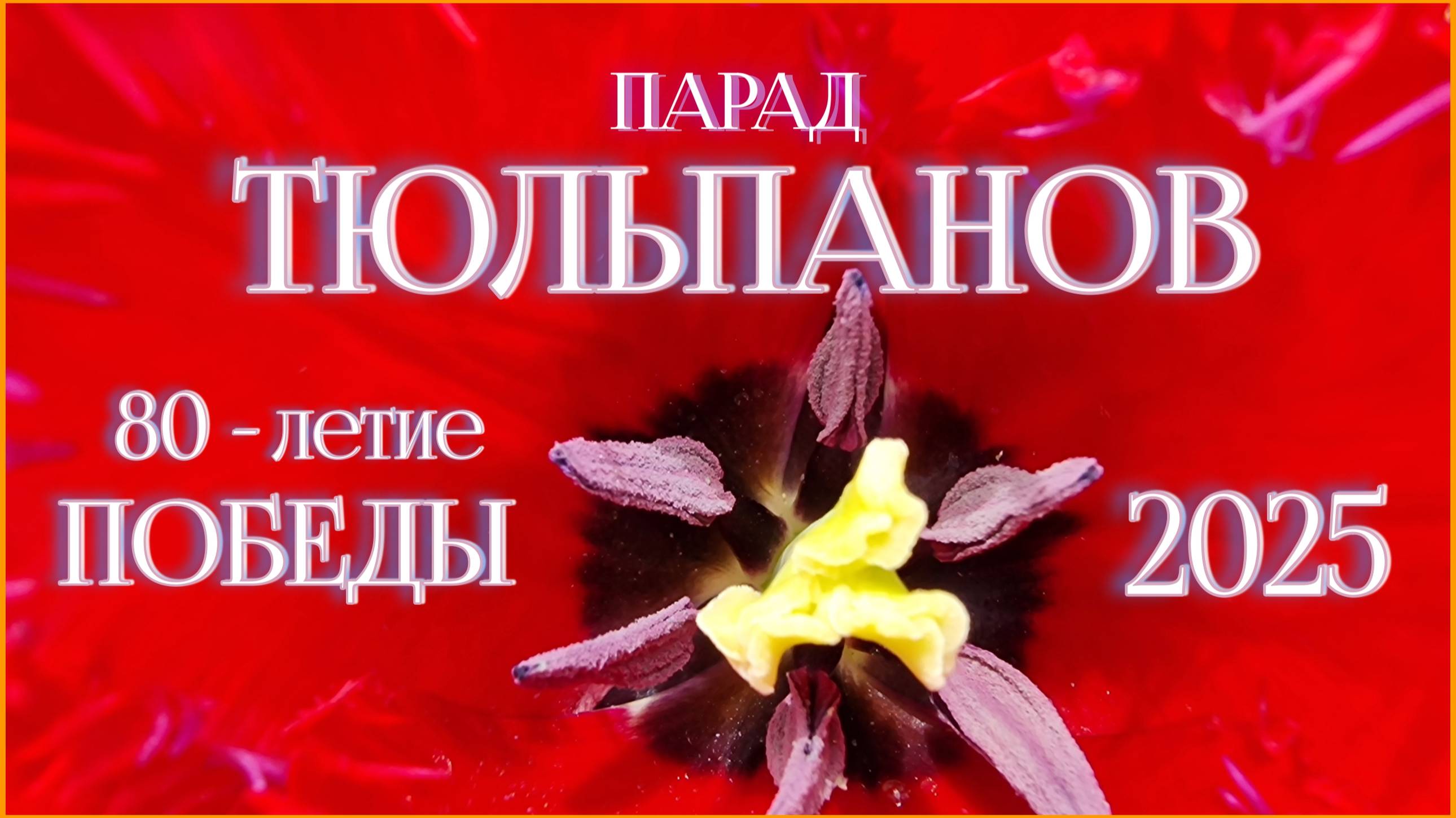Крым. Парад тюльпанов 2025 в Никитском Ботаническом саду