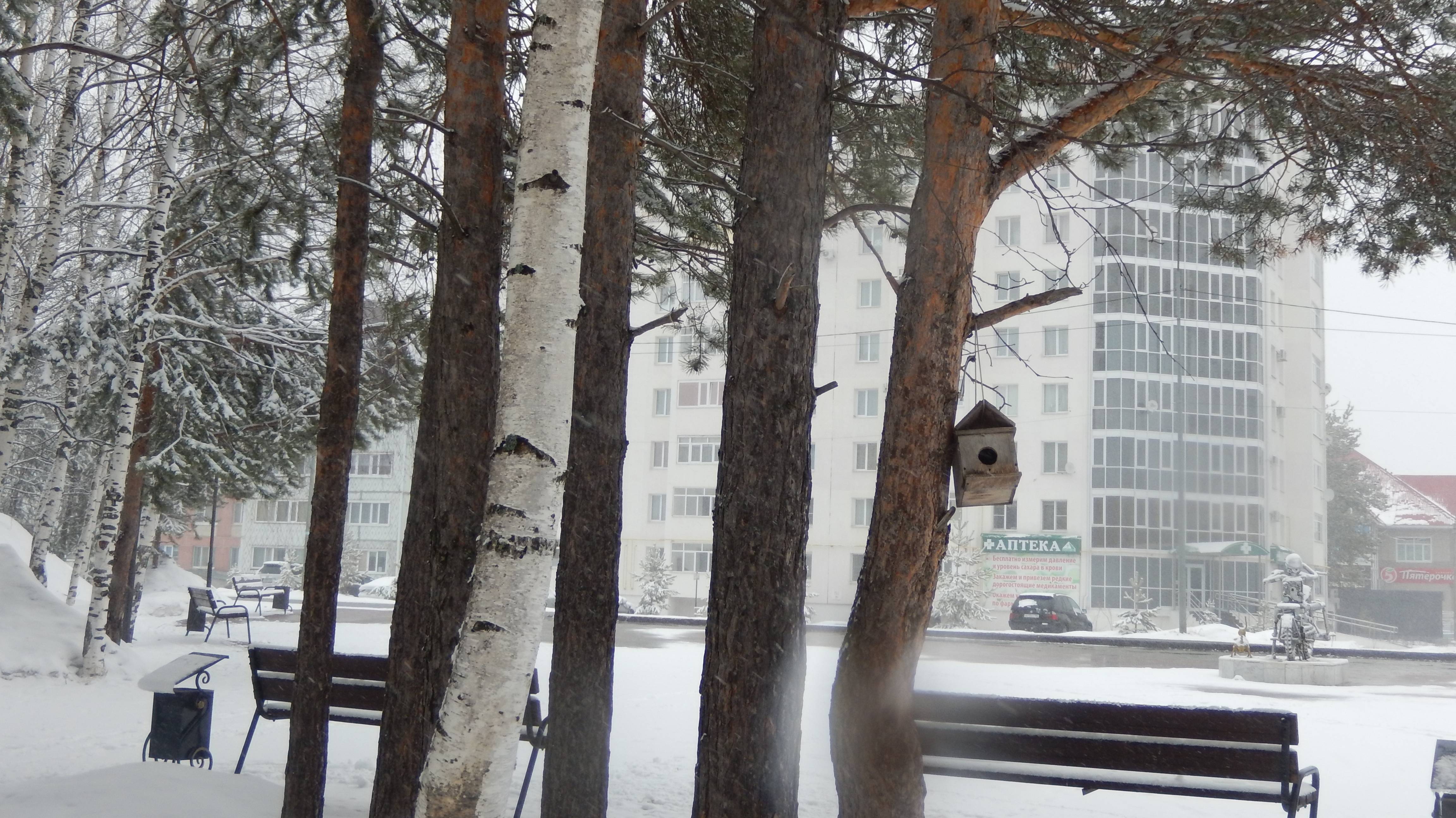 Наш маленький парк.  Исполнитель  Илья Яббаров - Танцуют все. Улетели журавли а ты прости...