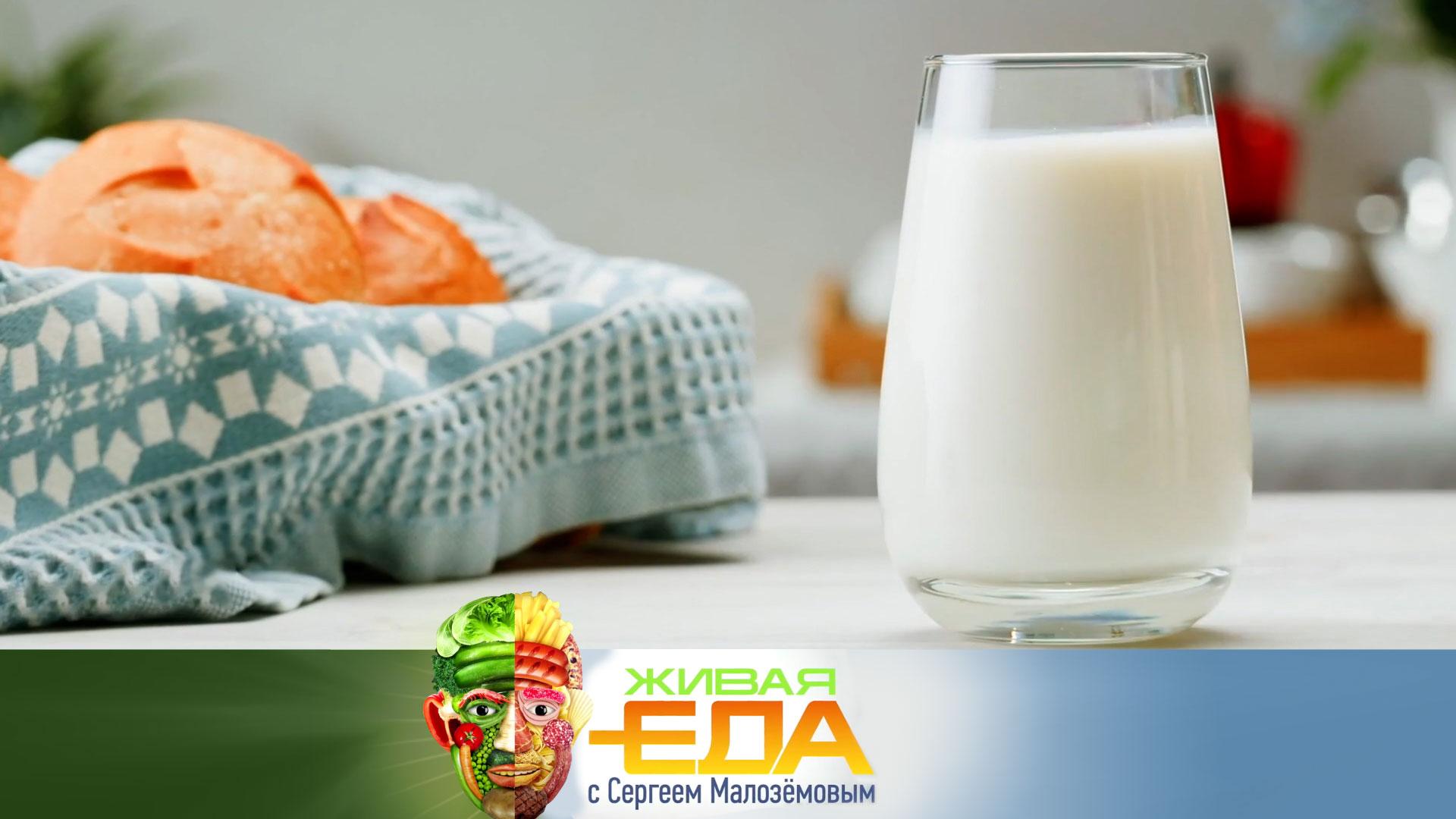 Домашние закваски, лучшая еда для бодрости и рецепт волосатого шоколада | «Живая еда»