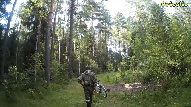 Поход за лисичками скоро