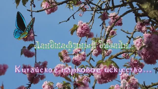 Ландшафтный дизайн*  Китайское парковое искусство*