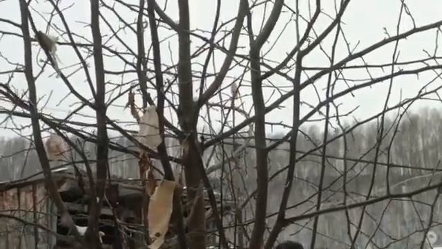 Из города - в деревню (мысли вслух) 1000045134.mp4