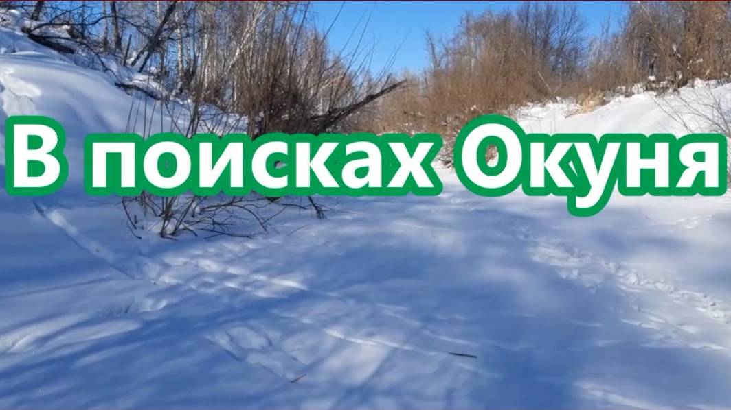 В поисках Окуня