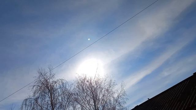 Оранжевая неделя в СП Радуга 3